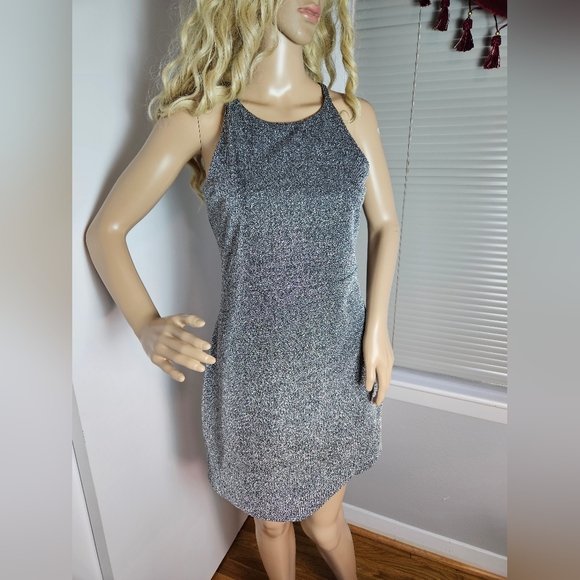 Elegant Silver Sleeveless Dress - Picture 1 of 13